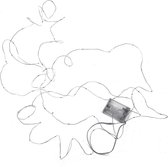 Draadverlichting