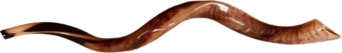 Shofar | Sjofar | 65CM