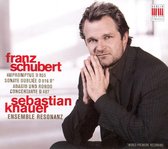 Sebastian Knauer & Ensemble Resonanz - Impromptus D935/ Sonate Oubliee D 9 (CD)