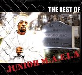 Best of Junior M.A.F.I.A.