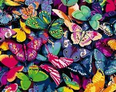 Schilderen op nummer volwassenen, schilderen op nummer kinderen, gekleurde vlinders 40X50