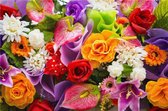 Diamond painting de luxe 40x60 cm - Rozen - Bloemen