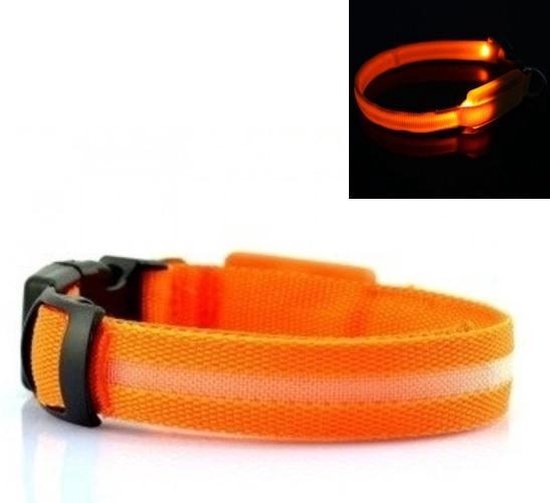 LED Halsband ORANJE XS