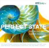 Perfect State: The Music of Ciarán Farrell