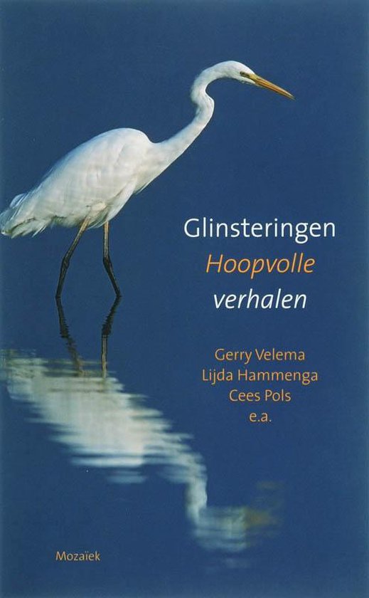 Cover van het boek 'Glinsteringen' van Lijda Hammenga en Gerry Velema-Drent