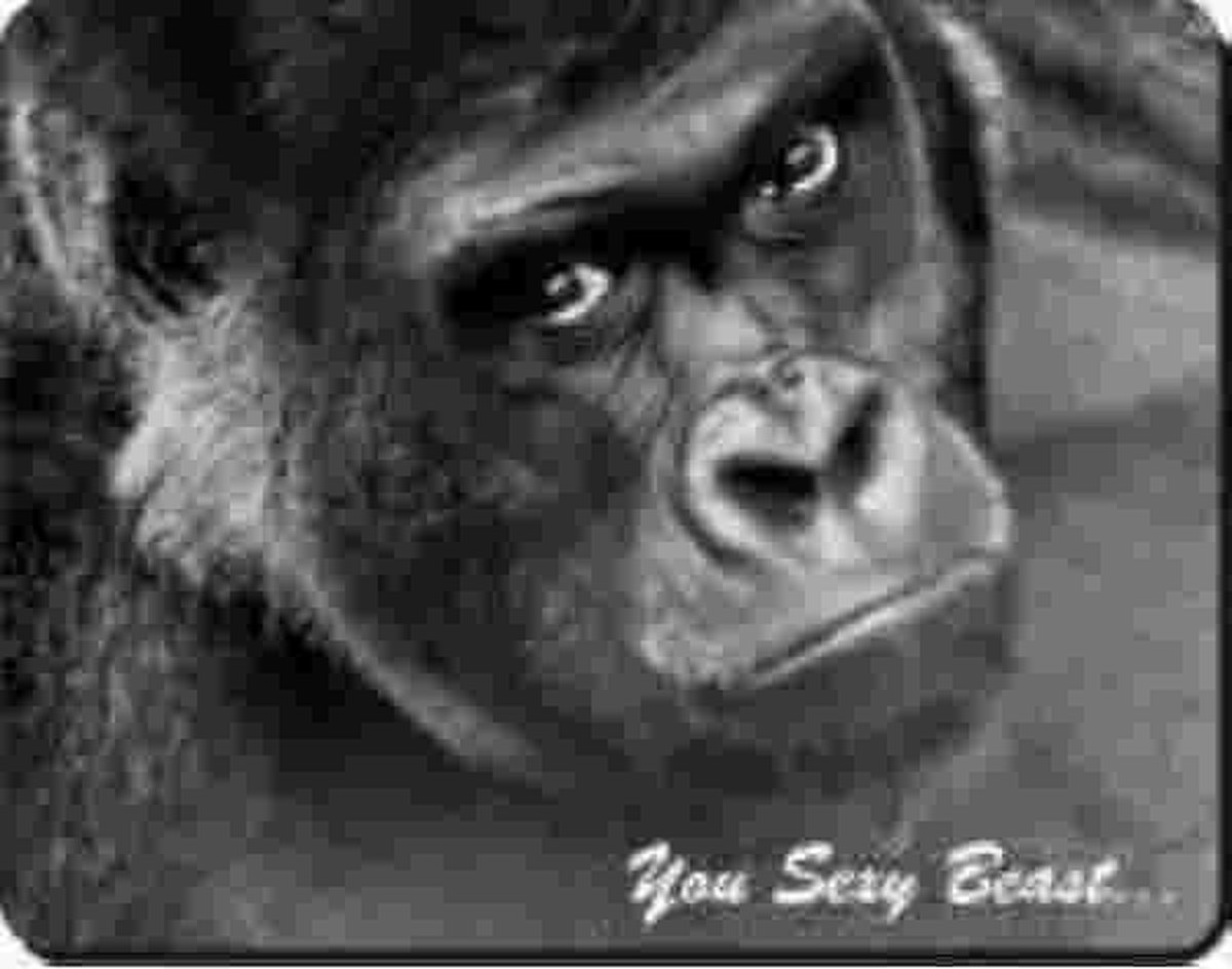GORILLA YOU SEXY BEAST- Muismat