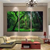 Zen Woods - 3 Delige Canvas Wall Art