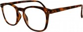 Icon Eyewear YCD215 Jibz Leesbril +3.00 - Mat tortoise