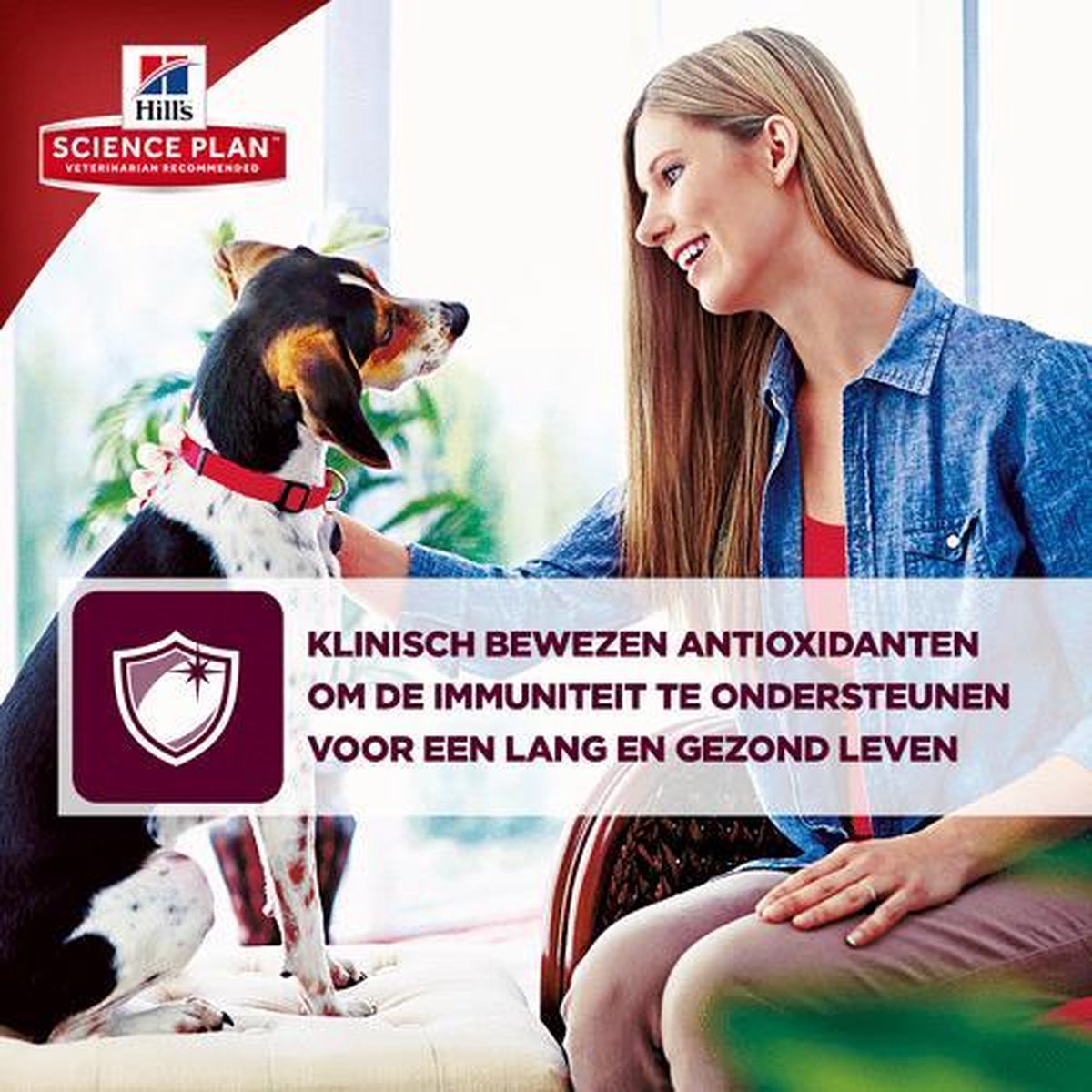 Hill's Small/Miniature - Gebalanceerd voer voor kleine honden thumbnail 4