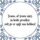 Tegeltje met Spreuk (Tegeltjeswijsheid): Trouw, of trouw niet; in beide gevallen zult ge er spijt van hebben! + Kado verpakking & Plakhanger