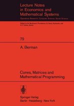 Cones, Matrices and Mathematical Programming