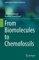 From Biomolecules to Chemofossils