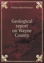 Geological report on Wayne County