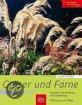 Graser und Farne: Alle wichtigen Arten und Sorten ... | Book