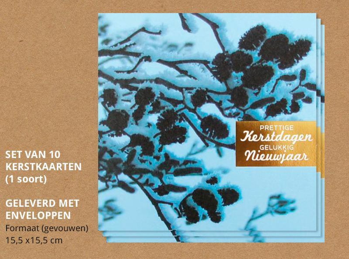 Luxe kerstkaarten met enveloppen, Besneeuwde takken - 10 stuks