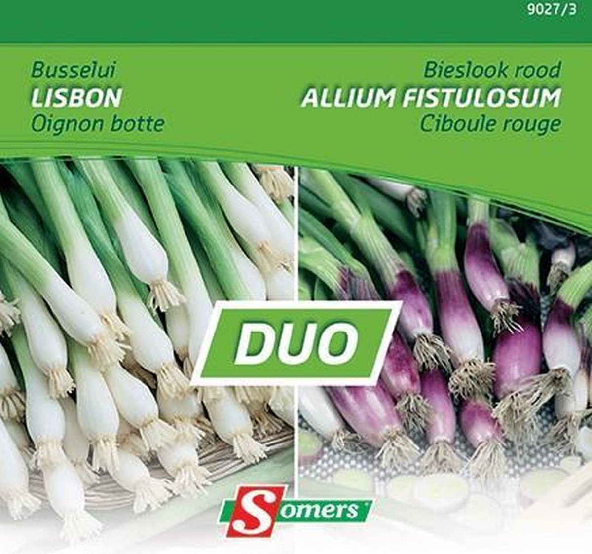 Duo van Somers zaden - Busselui Lisbon + Bieslook rood Allium Fistulosum