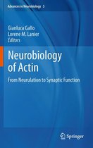 Advances in Neurobiology 5 - Neurobiology of Actin