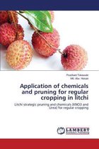 Application of chemicals and pruning for regular cropping in litchi