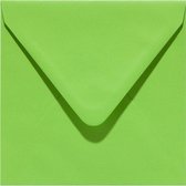 Papicolor Envelop Formaat 160 X 160 Mm 6 stuks Kleur Lentegroen