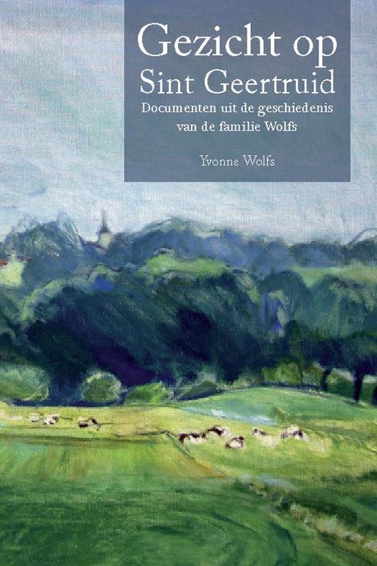 Cover van het boek 'Gezicht op Sint Geertruid'