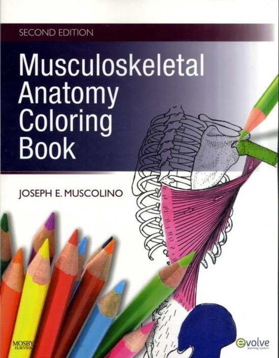 Musculoskeletal Anatomy Coloring Book, deuxième édition, avec crayons de couleur arc-en-ciel.