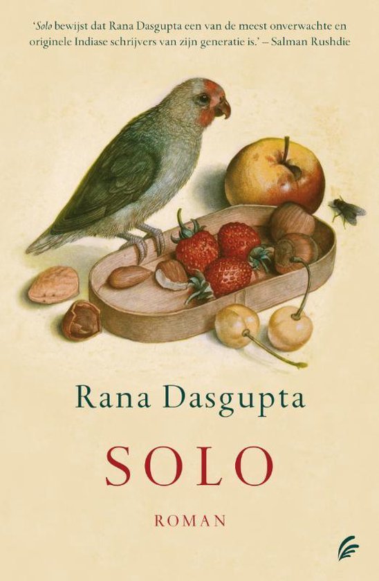 Cover van het boek 'Solo' van Rana Dasgupta