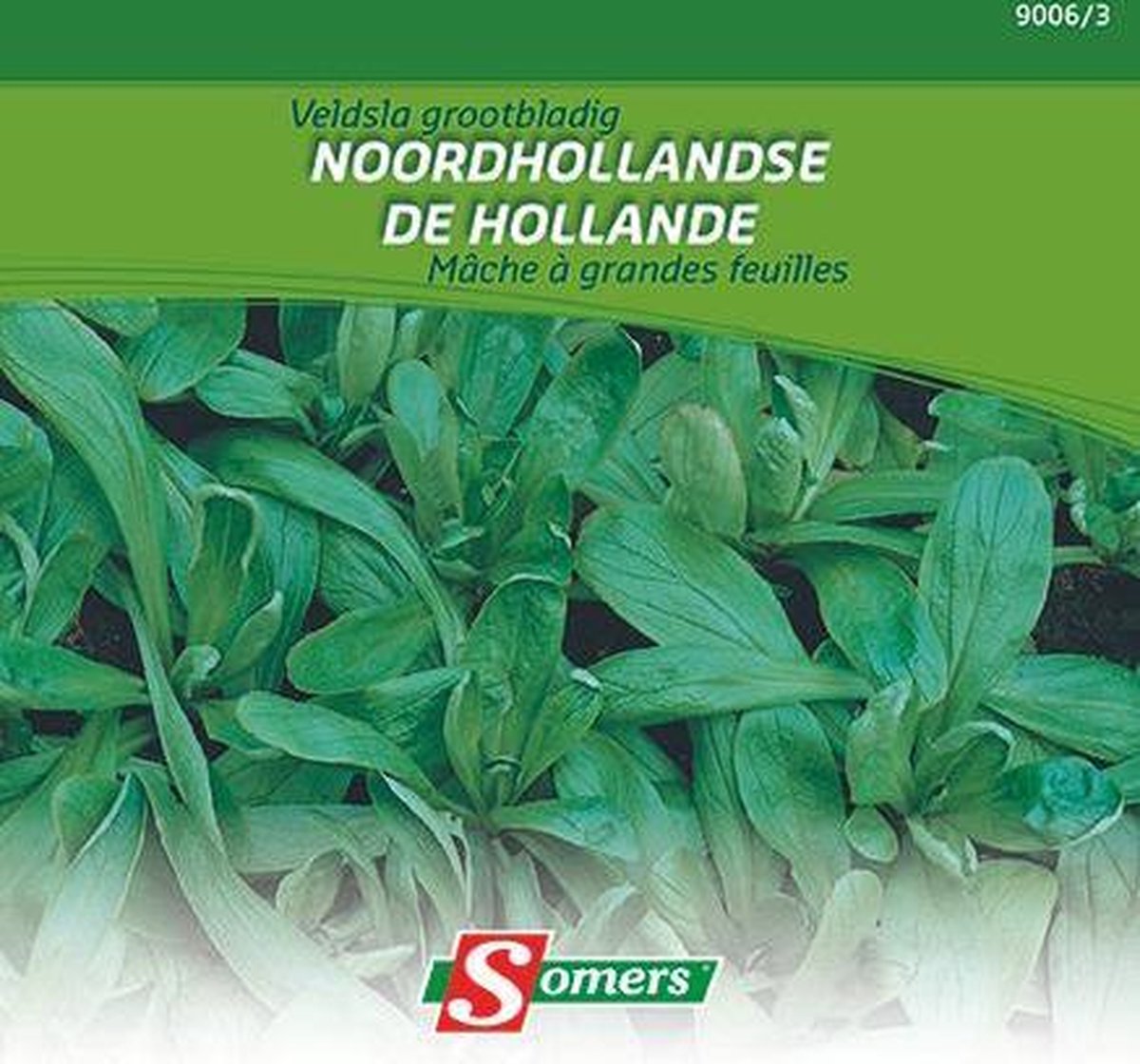 Somers zaden - Veldsla Grootbladig Noordhollandse 20 gram