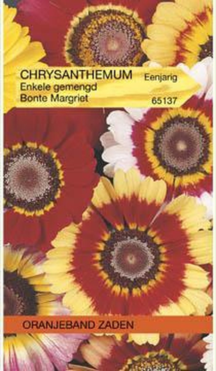 Oranjebandzaden - Chrysanthemum, Ganzenbloem gemengd