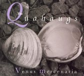 Venus Mercenaria