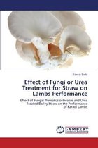 Effect of Fungi or Urea Treatment for Straw on Lambs Performance