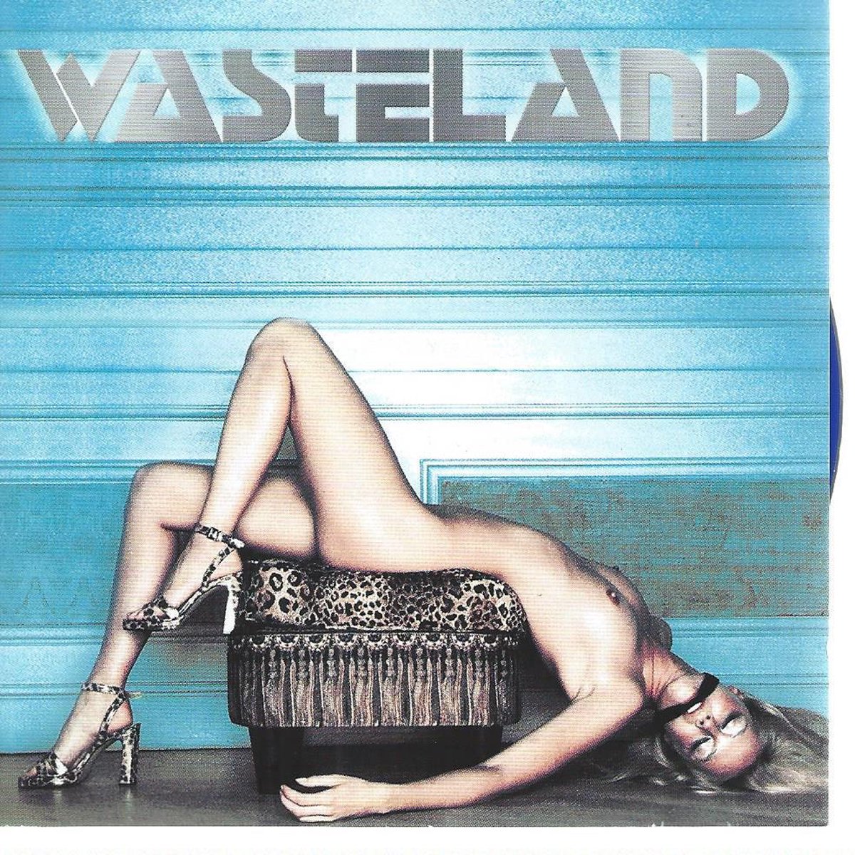 Various - Wasteland