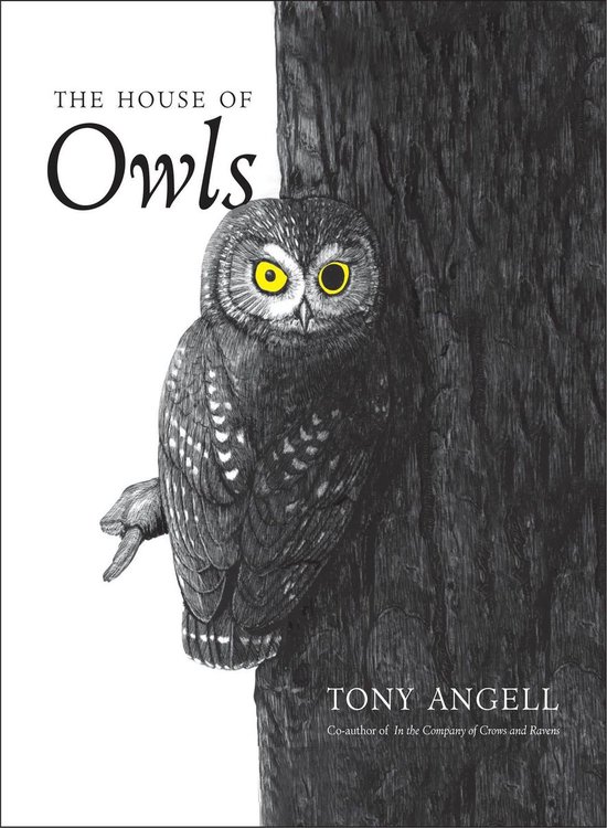 The House of Owls - cover