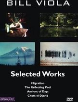 The Reflecting Pool Migration - Selected Works, Bill Viola