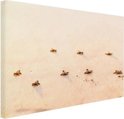 Product afbeelding  12