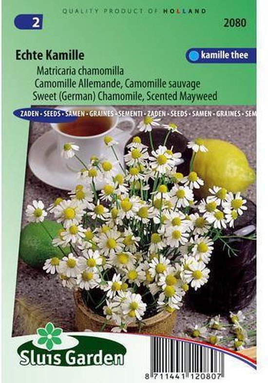 Kamille zaden – Matricaria chamomilla