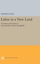 Labor in a New Land - Economy and Society in Seventeenth-Century Springfield