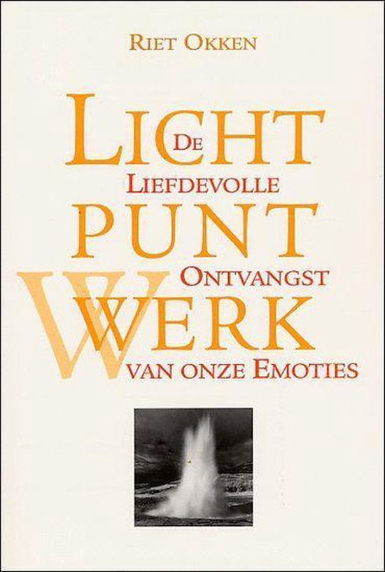 Lichtpuntwerk De Liefdevolle Ontvangst V - cover