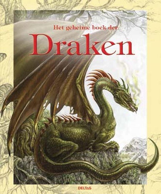 Cover van het boek 'Het geheime boek der draken' van J.-L. Bizien