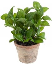 Kunstplant basilicum kruiden groen in pot 25 cm