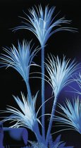 Europalms Yuccapalm,Blacklight-wit, 180 cm