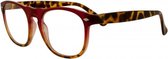 Icon Eyewear QCR002 Luciano Leesbril +3.00 - Helder rood, Tortoise