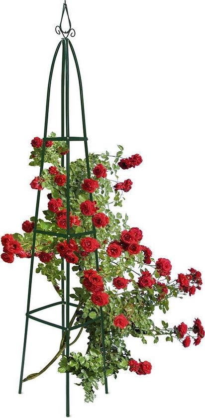 Relaxdays Rankhulp piramide - 190 cm hoog - metaal - plantensteun - bloemen  of planten | bol.com