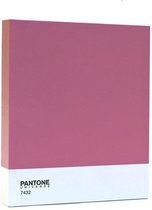 Pantone Art Schilderij Classic - 30 x 25 cm - Roze
