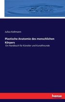 Plastische Anatomie des menschlichen Körpers