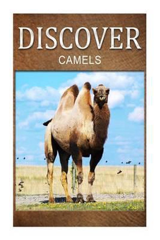 Camels - Discover - cover