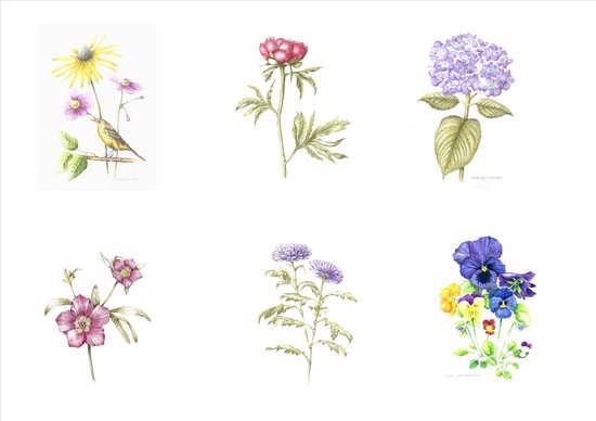 leuke , botanische , bloemen kaarten voor verjaardagskaarten en wenskaarten  | bol.com