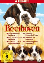 Beethoven 1-6/6 DVD
