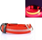 LED Halsband ROOD XS