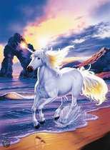 Lassen - Unicorn Beach