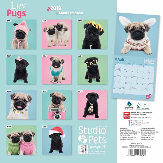 Luv Pugs Mopshond Puppies Kalender 2018